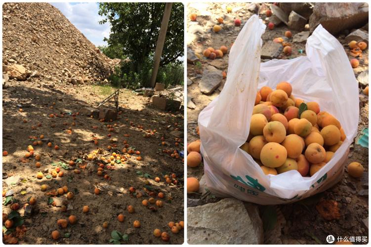 手工制作北欧风树枝灯之篇一 废旧工厂取材游玩记 | 国内旅游
